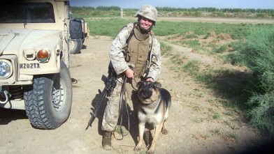PHOTO: Sergeant Rex the Marine bomb-sniffing dog will be reunited with his former handler who had launched a high-profile campaign to adopt him.