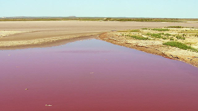 PHOTO: A severe, crop-killing drought in Texas has turned the O.C. Fisher Reservoir blood red.