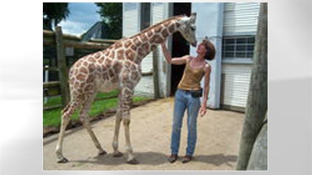 PHOTO: Bridget Sipp, owner of Animal Kingdom Zoo in Columbus, with one of the zoo's giraffes, is seen in this undated file photo.