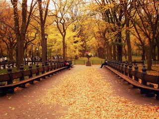 Best Autumn Photos Across the Web