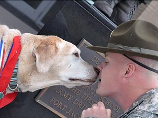 Military Heroes and Their Hero Dogs