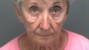 PHOTO Theresa Laura Collier is shown in her booking photo released by the Pinellas County Sheriffs Office.