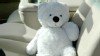 PHOTO: Harry Nelson, WSDOT assistant maintenance superintendent, found the missing teddy bear, ?Daddy Bear?, Washington State, Oct. 14, 2011.