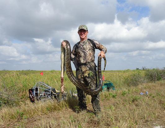 Python Challenge in Florida Everglades