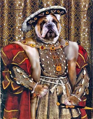 Dog Portraits