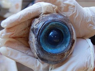 Mystery of Giant Eye on Beach Solved