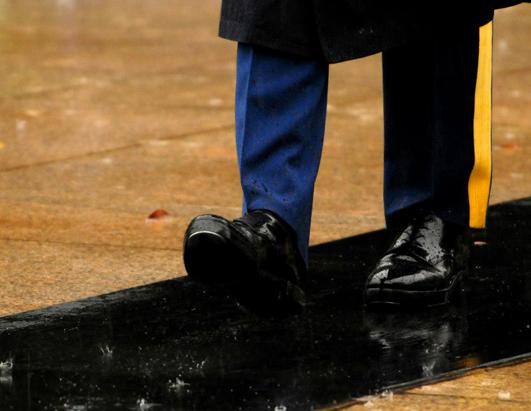 Through The Years at The Tomb of the Unknown Soldier