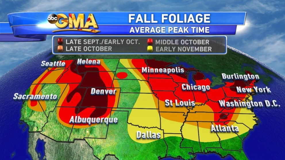 Here's Your EyePopping, LeafPeeping Fall Foliage Forecast ABC News