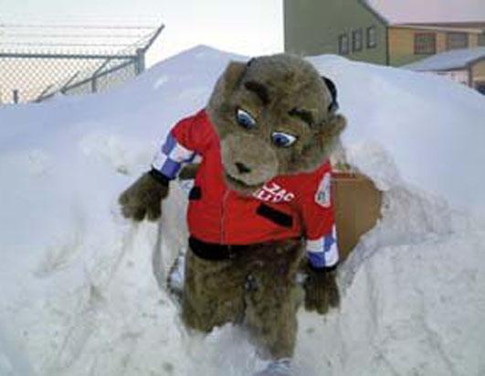 Meet the Groundhogs
