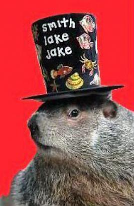 Meet the Groundhogs