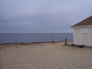Toddler Left Behind at New York Beach