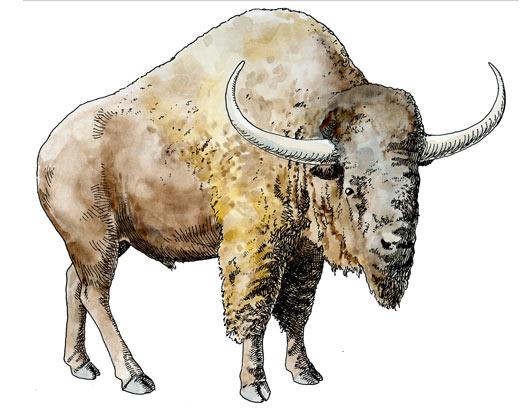 Ice Age Mammals found in Colorado