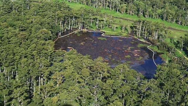 PHOTO: Louisiana sinkhole