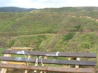Men Survive 100-Foot Cliff Plunge in Maui