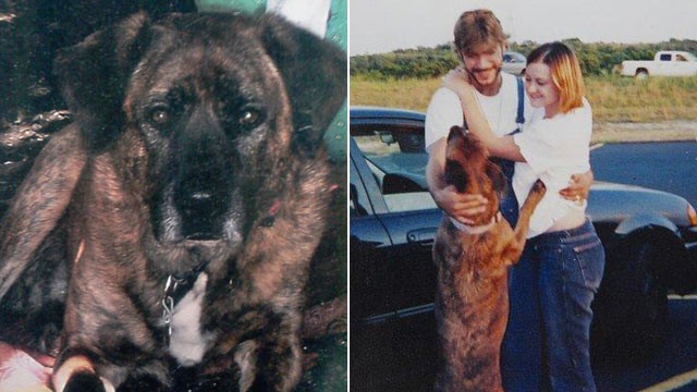 PHOTO: Texas Supreme Court is debating whether the Medlen family, pictured right, can sue for emotional damage after their dog, Avery, was mistakenly euthanized at an animal shelter in 2009.