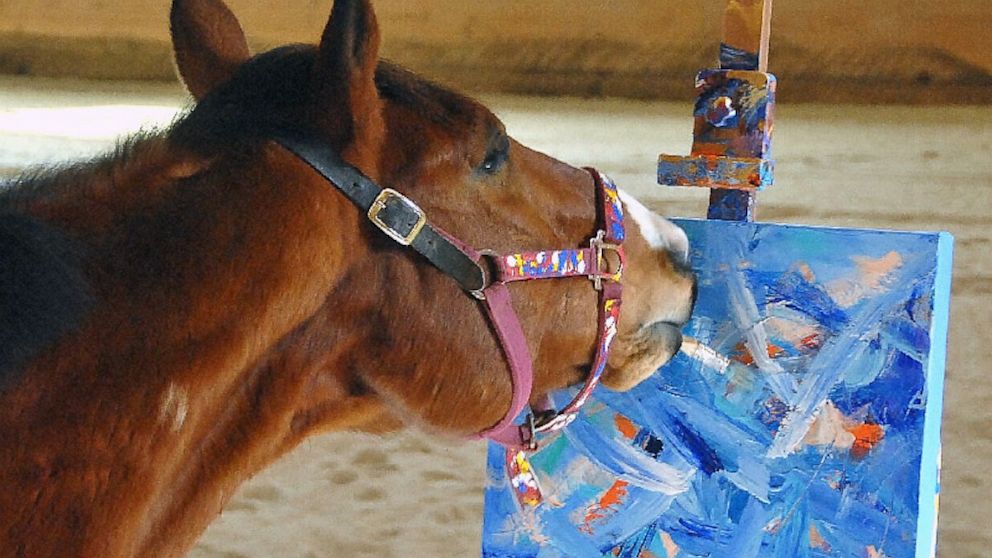 PHOTO: Horse holding brush in mouth and painting on canvas