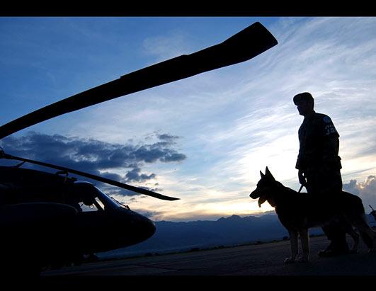 Dogs of War: Military's Secret Weapon