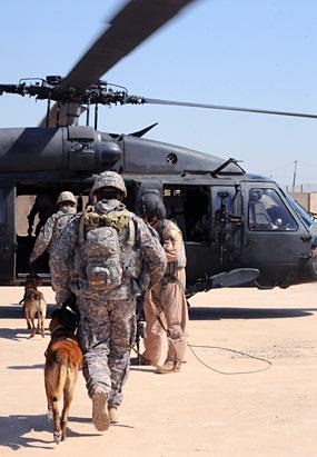 Dogs of War: Military's Secret Weapon