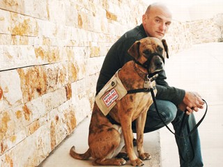 VA Cuts Coverage for PTSD Service Dogs