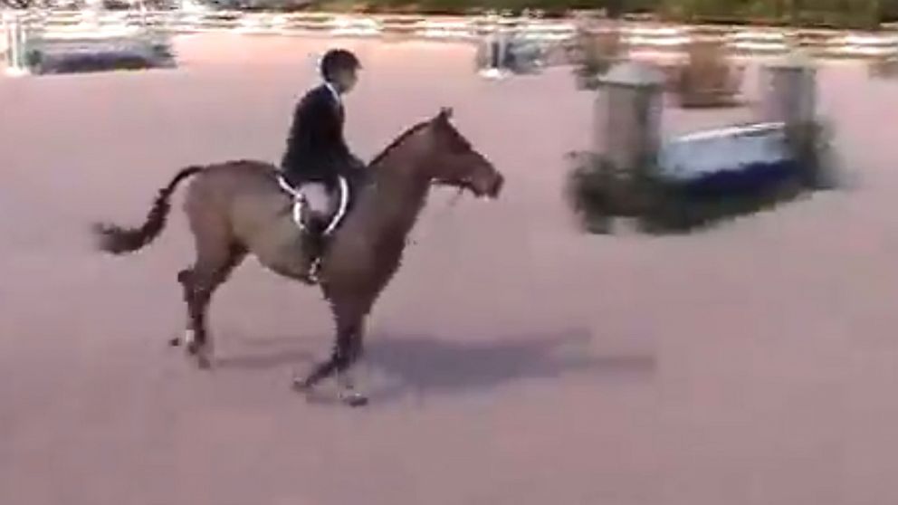 PHOTO: Horse trainer Ross Reisner, seen here in this undated grab from YouTube, was shot dead in his Long Island home on Sept. 24, 2013.