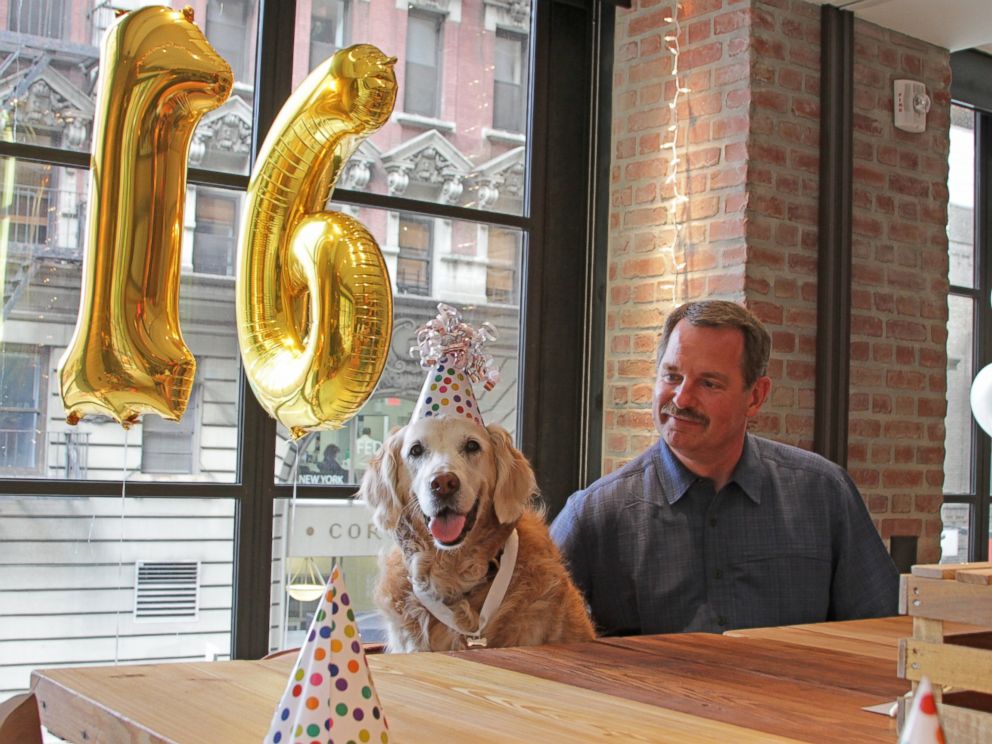 PHOTO: Bretagne, the last known living 9/11 search-and-rescue dog, was honored for her service and given a 16th birthday celebration on Sept. 4, 2015. 