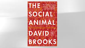 PHOTO: Shown here is "The Social Animal" by David Brooks book cover.
