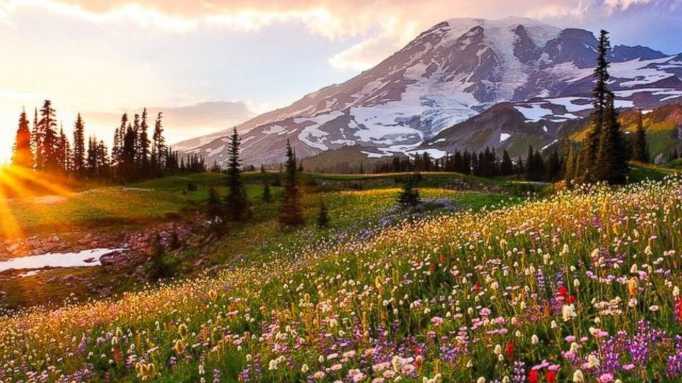 In All Their Glory Spring in America's National Parks Photos ABC News