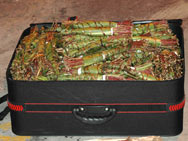 Suitcase