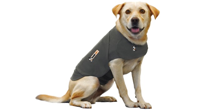 PHOTO: The Thundershirt, seen here in this undated handout photo, claims to calm dogs' anxiety.