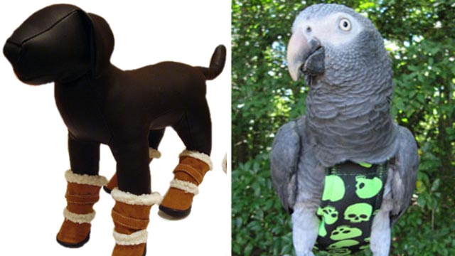 PHOTO: Ugg-type boots for dogs, left, and Avain bird clothing.
