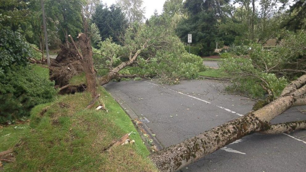 2 Dead After Storm Slams Washington State ABC News