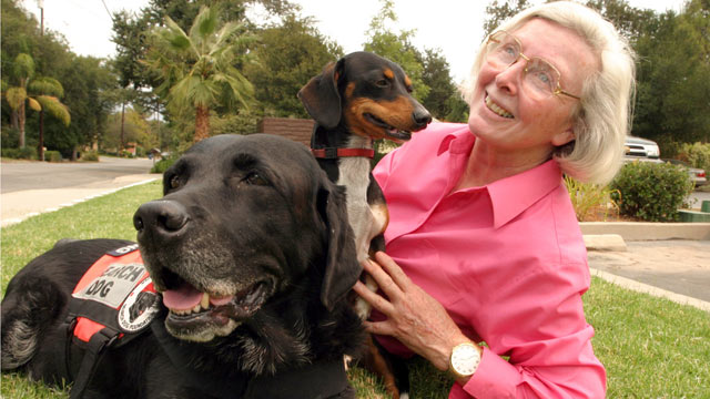 PHOTO: Former gym teacher Wilma Melville heads the National Disaster Search Dog Foundation, which she started in 1996. The center based in Ojai, Calif., trains dogs and firefighters in disaster search for free.