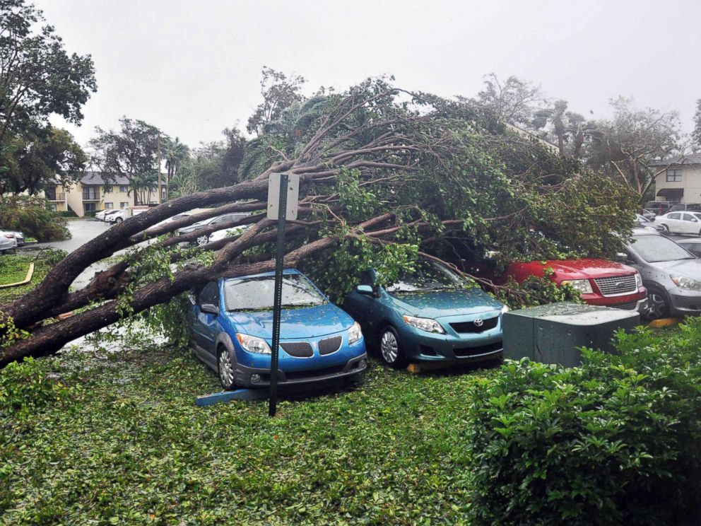 PHOTO: A fallen tree lies atop a row of cars on Sept. 10, 2017 Miami, in the wake of Hurricane Irma.
