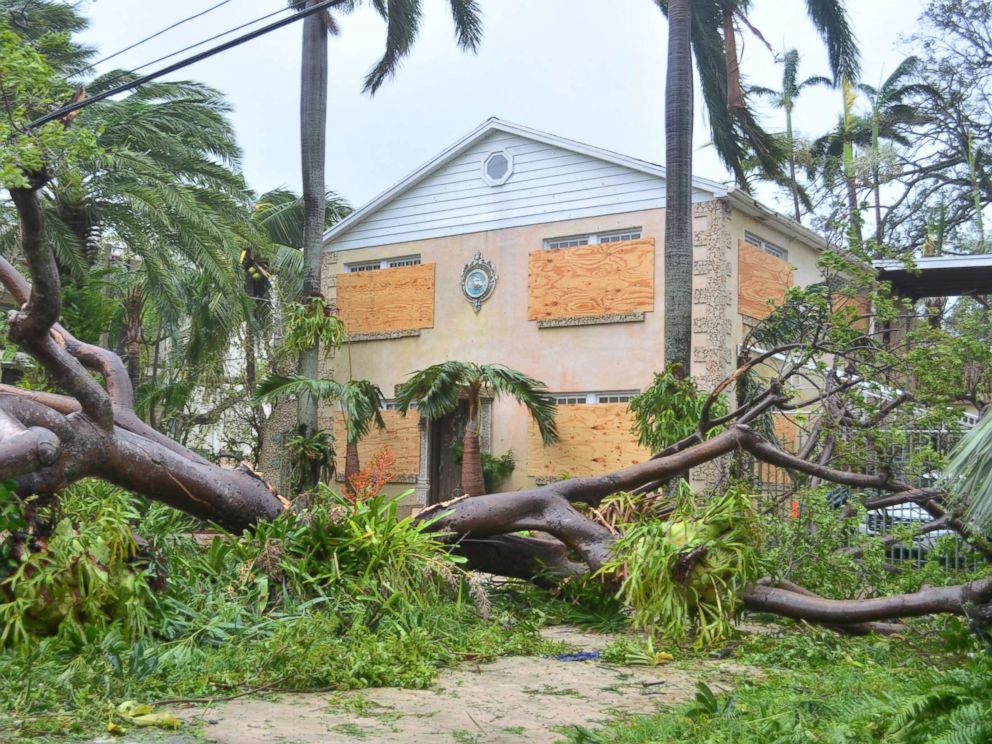 PHOTO: A tree lies on the ground after Hurricane Irma passed through Miami, Sept. 10, 2017.