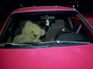 Watch: Oregon Driver Ticketed for Teddy Bear Passenger