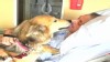 VIDEO: Kevin McClain was reunited with his dog days before dying from lung cancer.