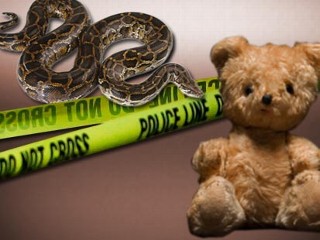 Photo: Officials: Escaped 12-foot pet python strangled 2-year-old girl in Fla. home
