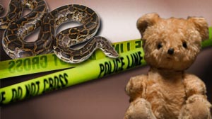 Photo: Officials: Escaped 12-foot pet python strangled 2-year-old girl in Fla. home