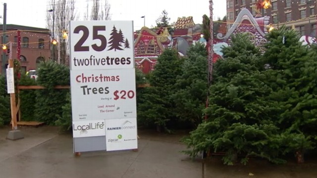 VIDEO: Washington state woman accused of posing as charity worker, selling trees and pocketing the cash.