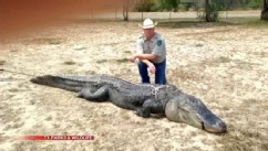 VIDEO: Braxton Bielski, 18, killed the 800-pound reptile during a public hunt.