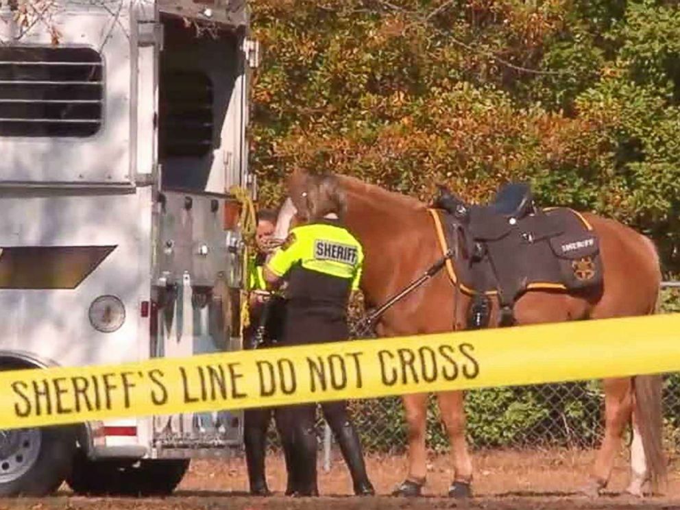 PHOTO: Additional resources have been allocated to help conduct interviews and searches for the little girl, including boats from the North Carolina Division of Marine Fisheries, canines and police horses from neighboring agencies, Miller said.