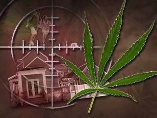 Suburbs to Grow Marijuana
