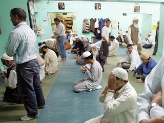 Muslim survey