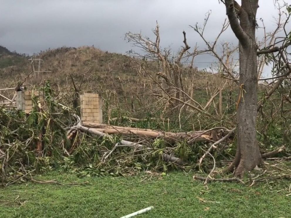 Over 95% of Puerto Rico's base stations out of order - FCC