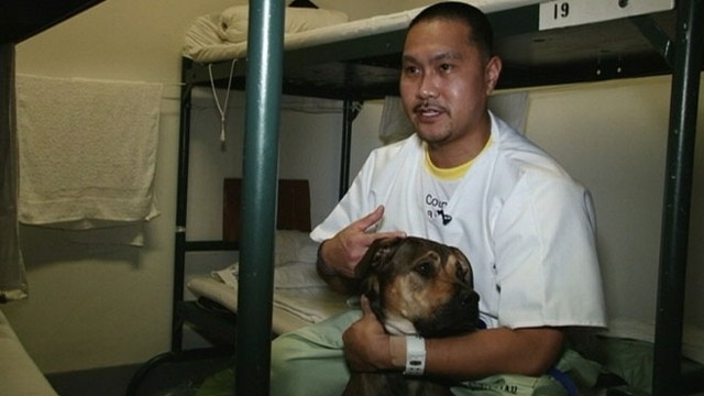 VIDEO: Program teaches inmates at the Los Angeles County Mens Central Jail to train rescue dogs.