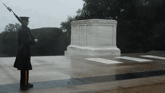 PHOTO: A lone Tomb Sentinel, 3d U.S. Infantry Regiment (The Old Guard), walks his tour in humble reverence during Hurricane Irene in Arlington National Cemetery, Va., Aug 27.