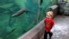 VIDEO: An otter at the San Diego Zoo is fascinated by energetic boy.
