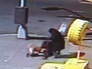 Watch: Child's Dog-Attack Rescue Caught on Tape
