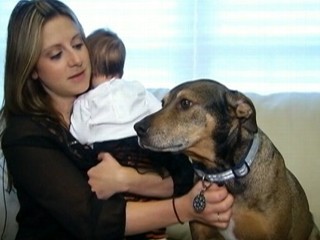 Watch: Family Dog Alerts Owners, Saves Dying Baby
