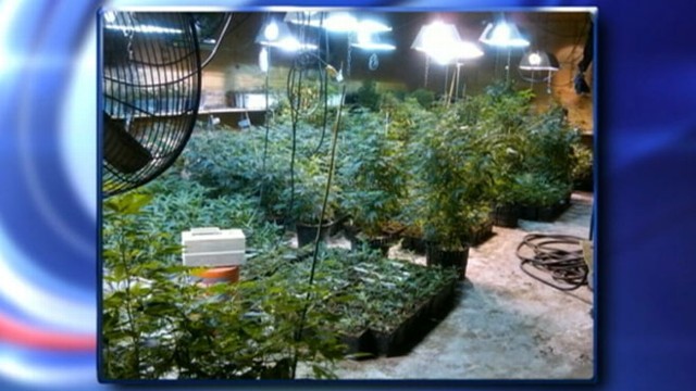VIDEO: Andrea Sanderlin of Scarsdale, N.Y., has been charged with intending to distribute marijuana.